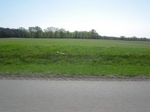 RTF Celle 2011 Manfred 099